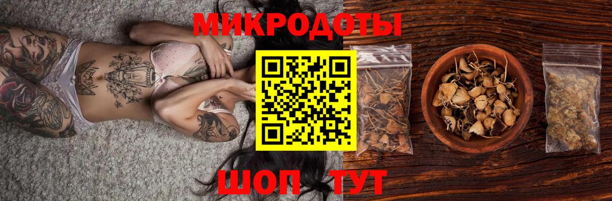 Псилоцибиновые грибы мицелий Черкесск