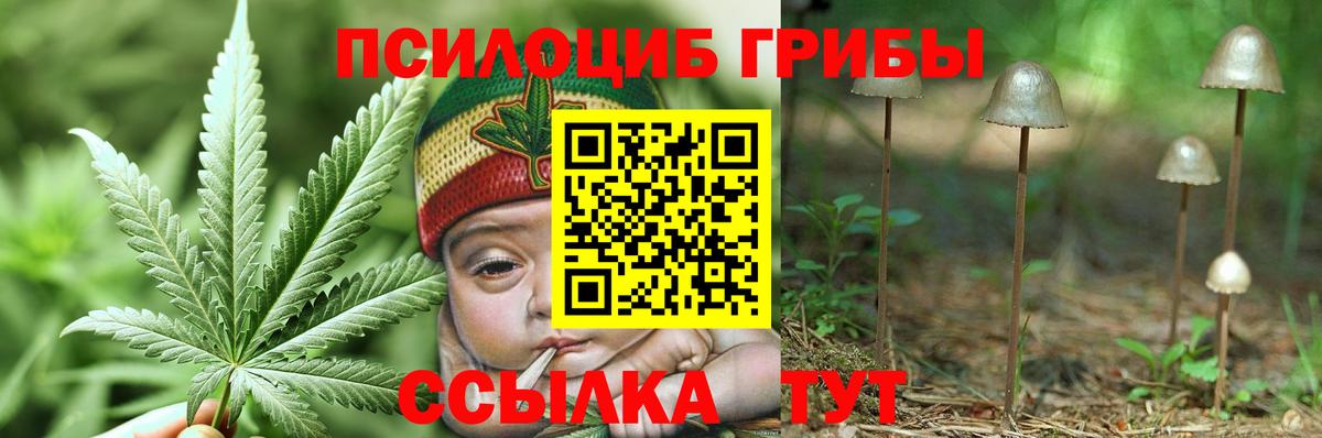 Галлюциногенные грибы мицелий  Вход с VPN  Псилоцибиновые грибы Magic Shrooms  Черкесск 